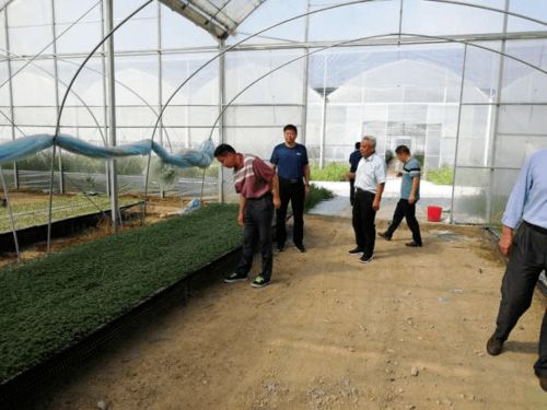 肥東縣農牧漁業(yè)免費咨詢電話服務指南